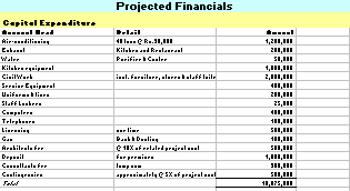 Projected Financials